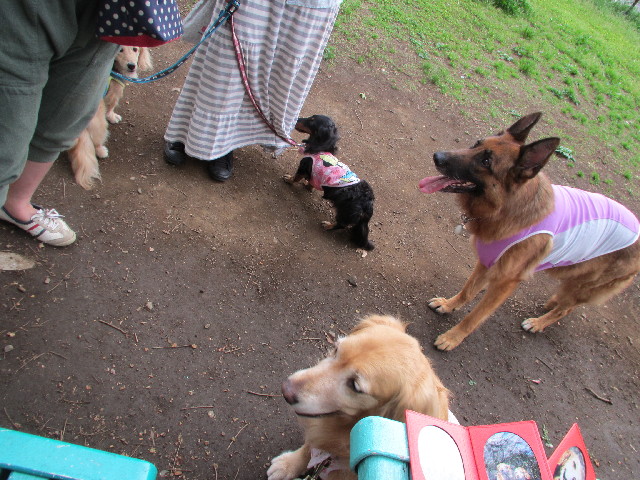 ファイル 3045-2.jpg