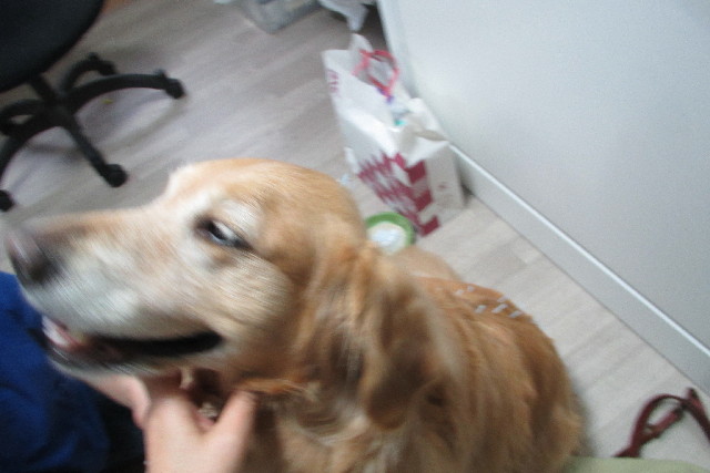 ファイル 3046-3.jpg