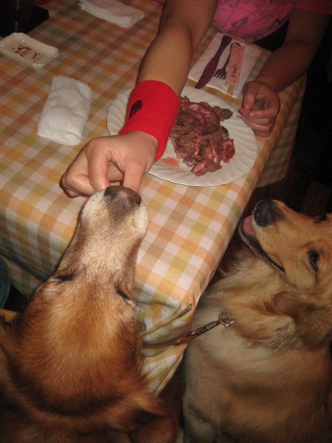 ファイル 305-2.jpg