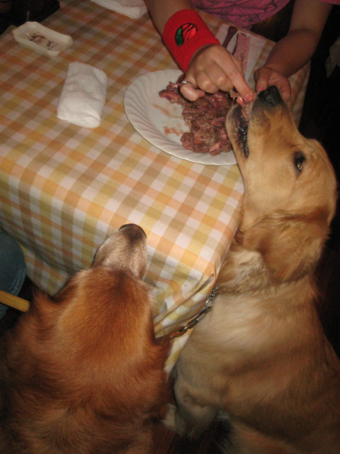 ファイル 305-3.jpg