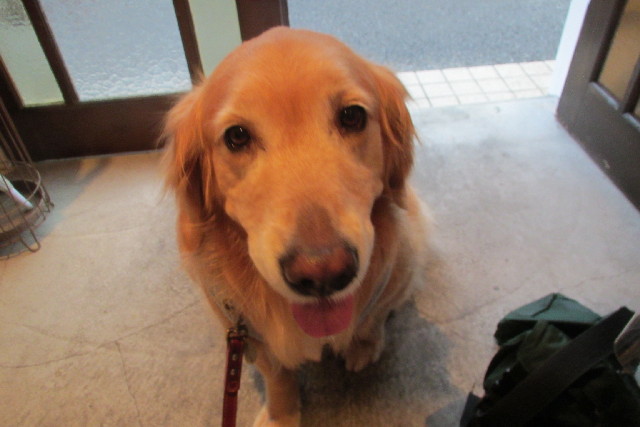 ファイル 3051-1.jpg