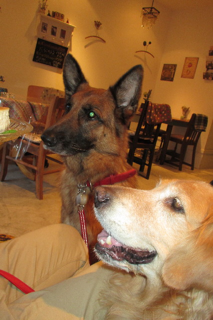 ファイル 3051-4.jpg