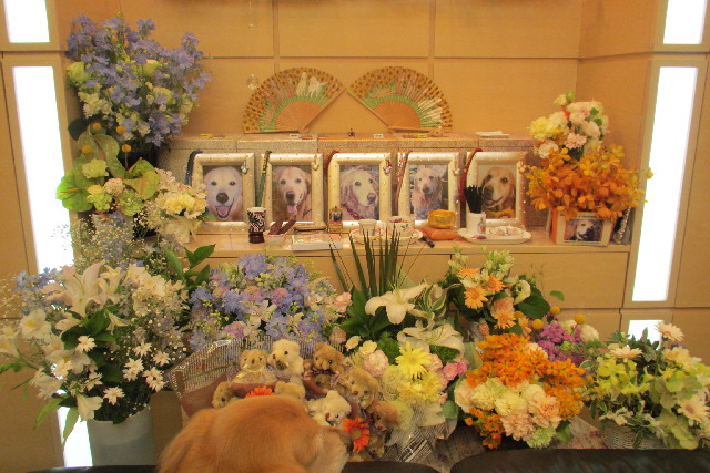 ファイル 3058-2.jpg