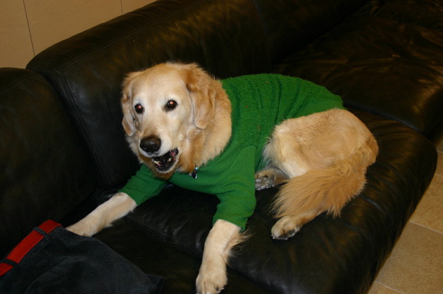 ファイル 3058-4.jpg