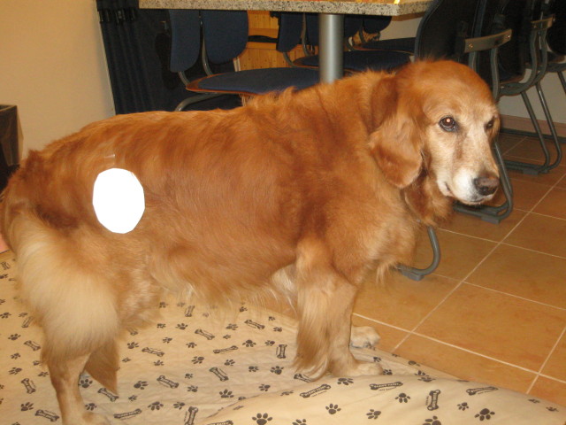 ファイル 306-2.jpg