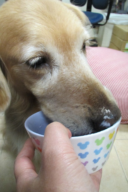 ファイル 3062-5.jpg