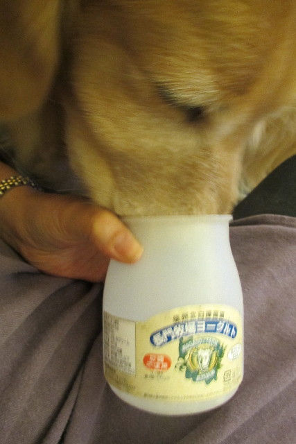 ファイル 3067-1.jpg