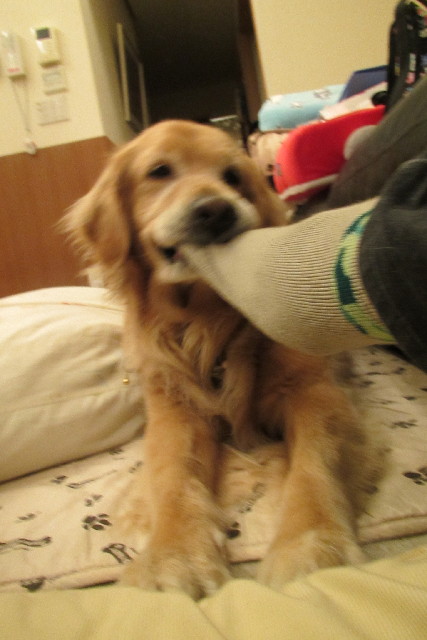 ファイル 3067-2.jpg