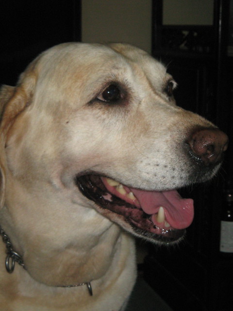 ファイル 307-3.jpg