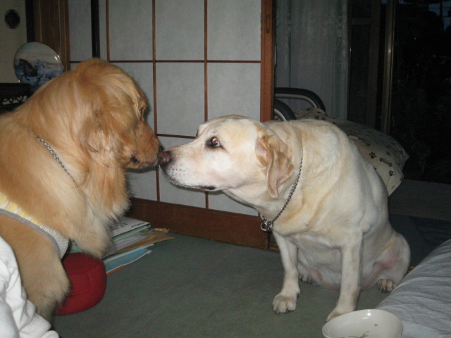 ファイル 307-5.jpg