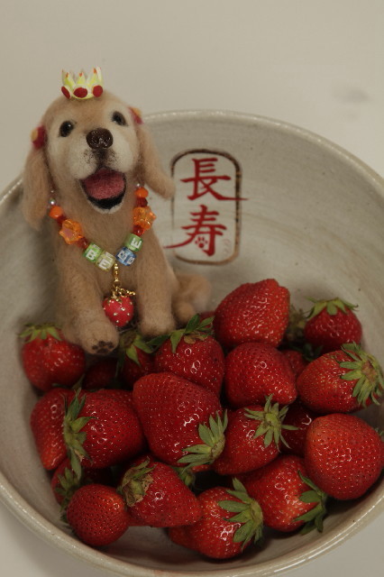 ファイル 3070-2.jpg