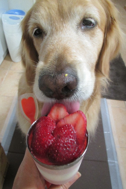 ファイル 3071-3.jpg