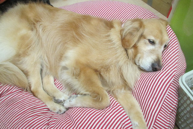 ファイル 3071-5.jpg