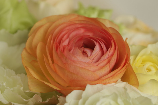 ファイル 3077-2.jpg