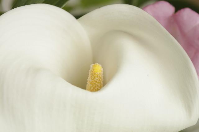 ファイル 3077-4.jpg