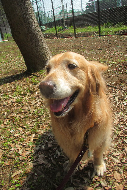 ファイル 3078-1.jpg