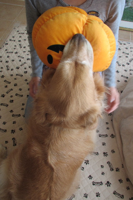 ファイル 3078-5.jpg