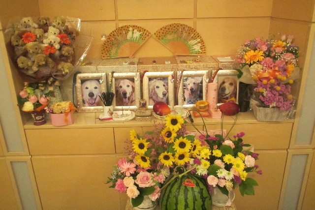 ファイル 3079-5.jpg