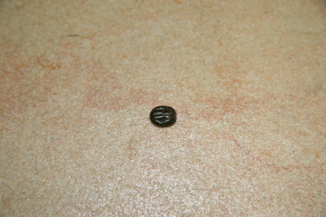 ファイル 308-2.jpg