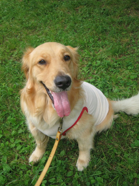 ファイル 308-5.jpg