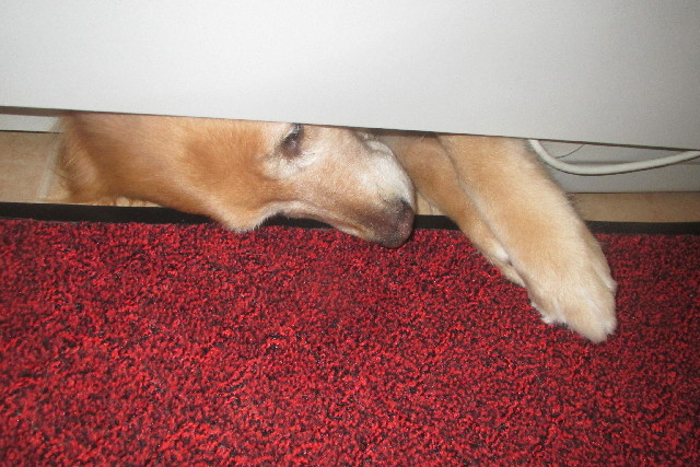 ファイル 3080-1.jpg