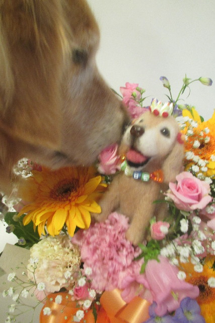 ファイル 3080-3.jpg