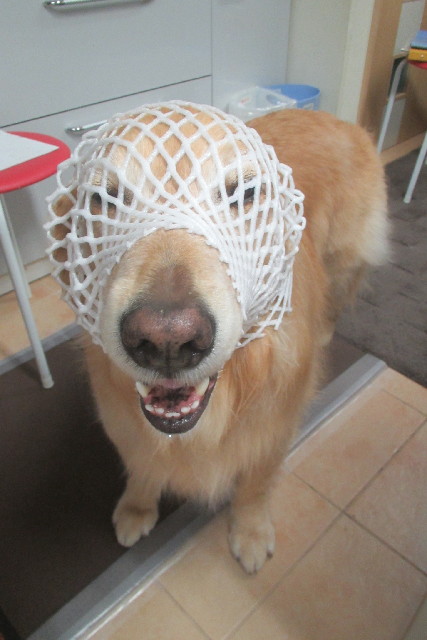 ファイル 3080-5.jpg