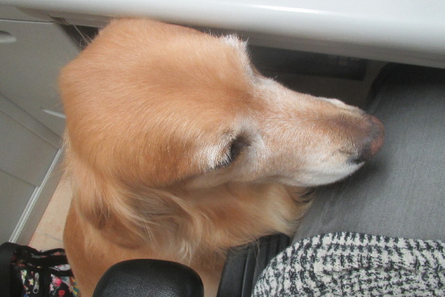 ファイル 3081-1.jpg