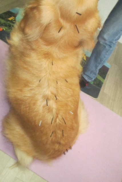 ファイル 3087-2.jpg