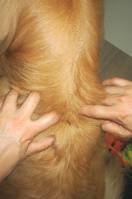 ファイル 3087-4.jpg