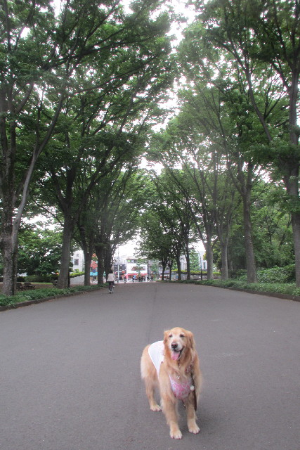 ファイル 3087-5.jpg