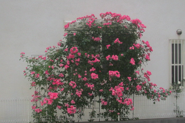 ファイル 3088-4.jpg