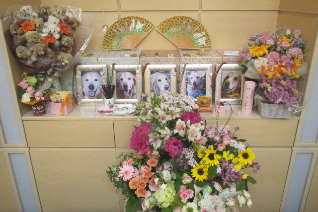 ファイル 3088-5.jpg