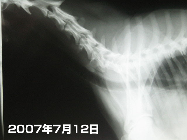 ファイル 309-2.jpg