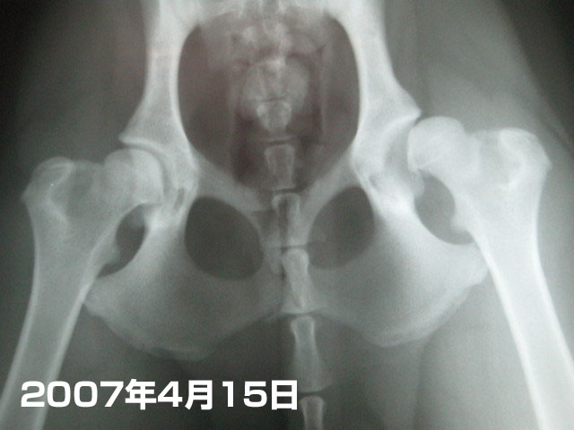 ファイル 309-4.jpg