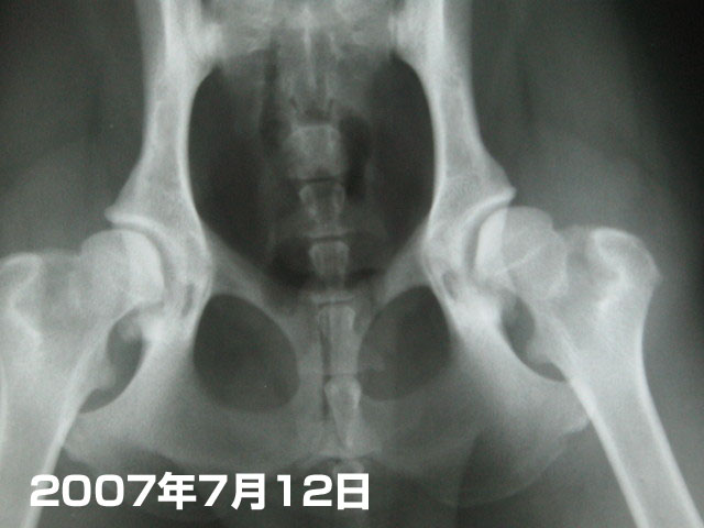 ファイル 309-5.jpg