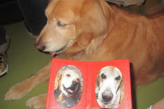 ファイル 3091-1.jpg