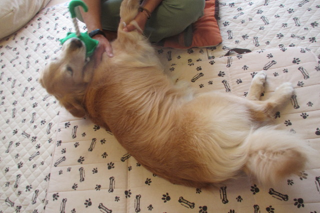 ファイル 3092-1.jpg