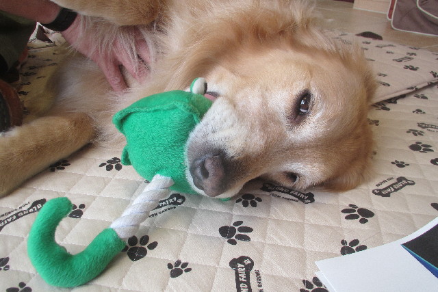 ファイル 3092-2.jpg