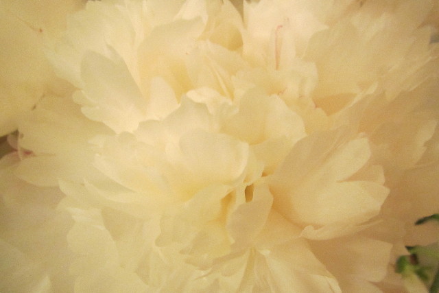 ファイル 3092-5.jpg