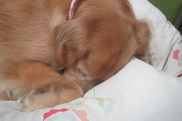 ファイル 3094-2.jpg