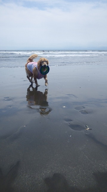 ファイル 3097-3.jpg