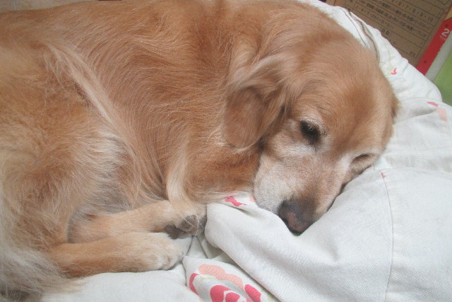 ファイル 3097-5.jpg