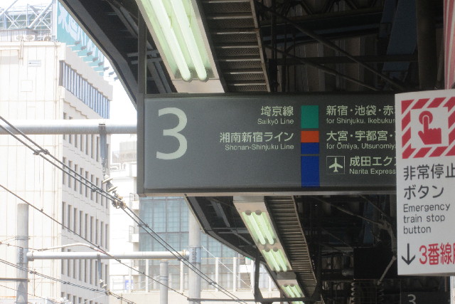 ファイル 3099-1.jpg