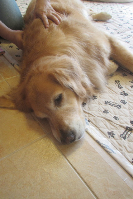 ファイル 3099-5.jpg