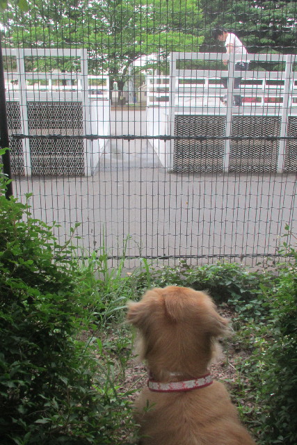 ファイル 3101-2.jpg