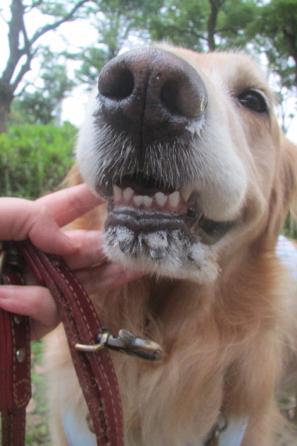 ファイル 3101-3.jpg