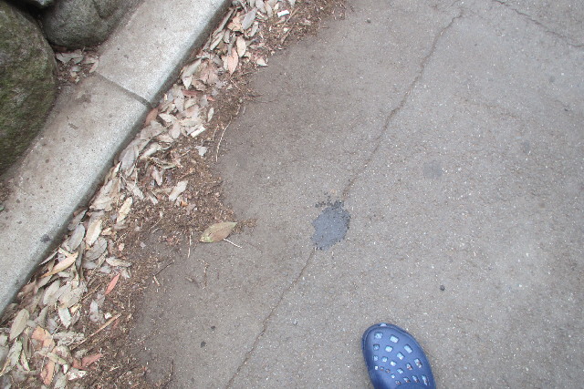 ファイル 3101-4.jpg