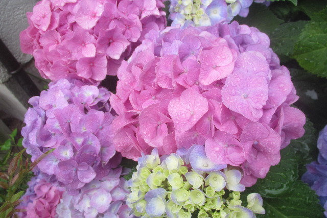 ファイル 3103-3.jpg