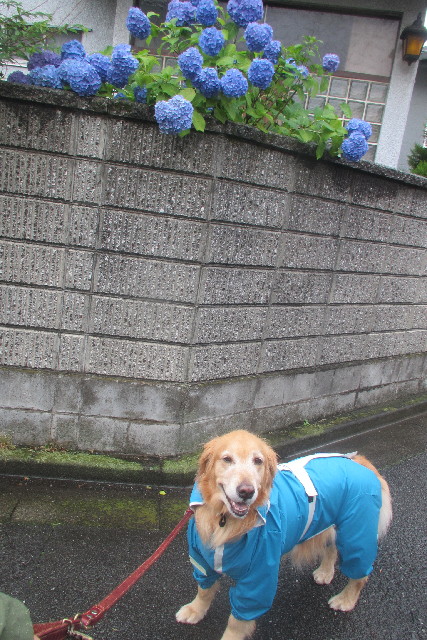 ファイル 3103-4.jpg